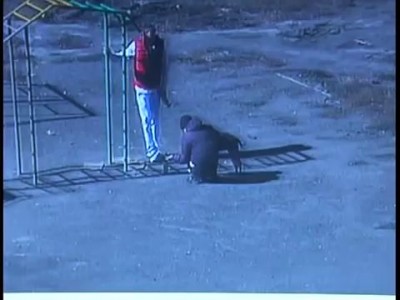 Собачник хулиган