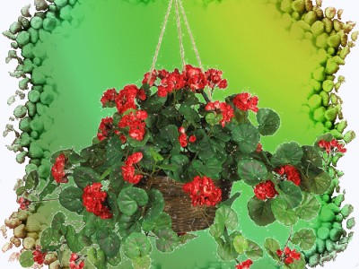 Герань и стрекозы