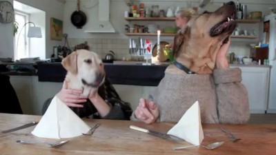 сцобакен трапезничать желает