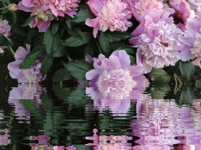 ДЛЯ ТАТЬЯНЫ