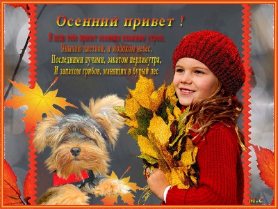 ОСЕННИЙ ПРИВЕТ !