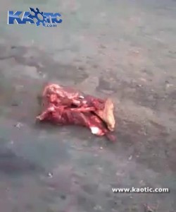 Попали под грузовик