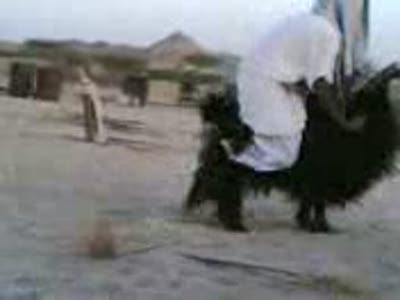 Турбо баран