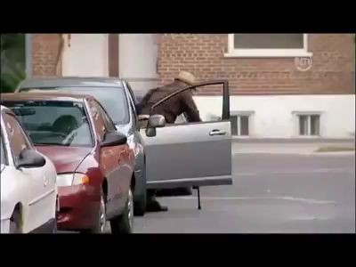 Дедушка суперпаркер!