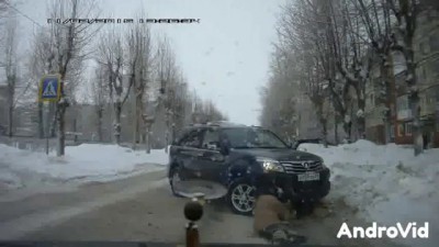 Сбил бабушку с собачкой...