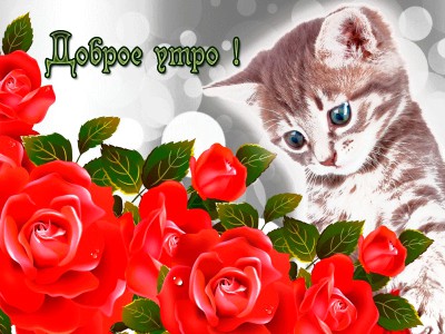 Доброе утро !