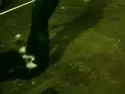 скейтбордисты семидесятых