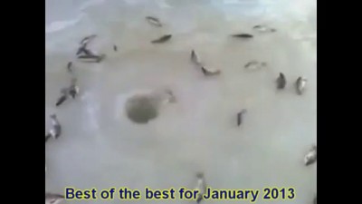 #1 Best of the best for January 2013