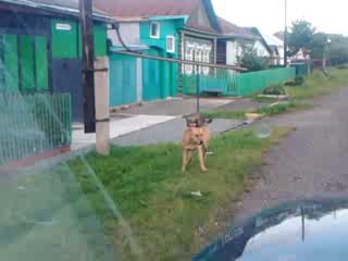 Мал да удал