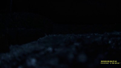 Пешеход решил перебежать трассу...