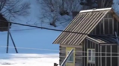 Медведи в ужасе убежали