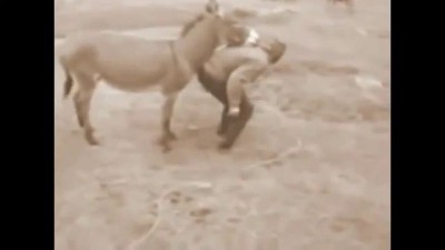 тренировки с ослом