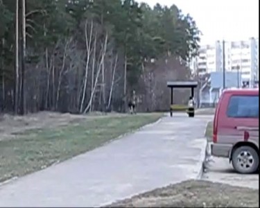 Зареченские лосята