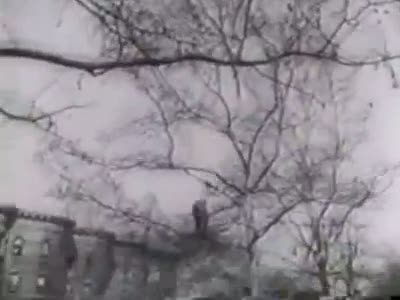 Реальный человек-паук