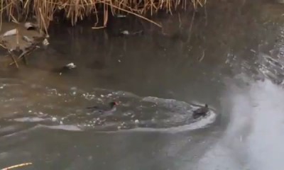 сходил на рыбалку...