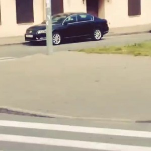 Стиг