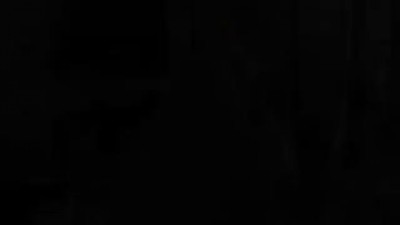 Шлепнул Мишку