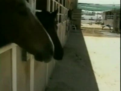 пошла нахуй!!!