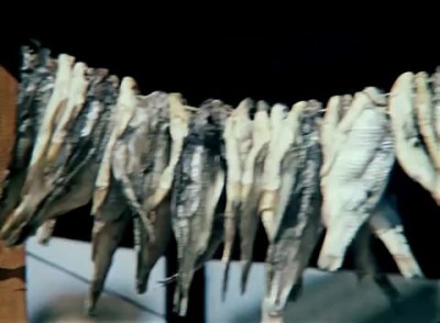 Губит людей не пиво