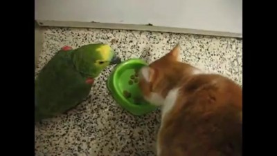 На пищеблоке я опасен