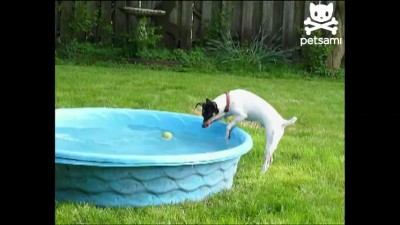 Как достать мячик