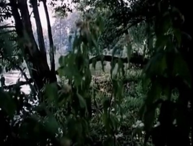 Песенка Медуницы - Незнайка с нашего двора