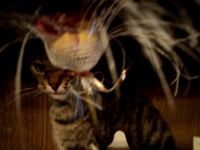 Эх ты жрачка