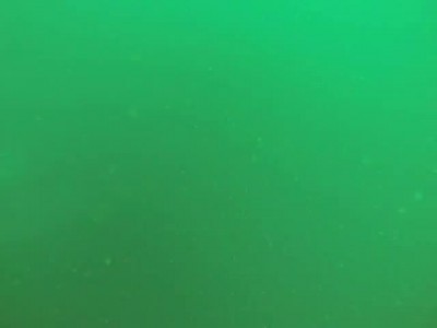 Съемка водолазов с затонувшего парома в Тае