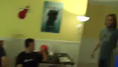 кота принесли