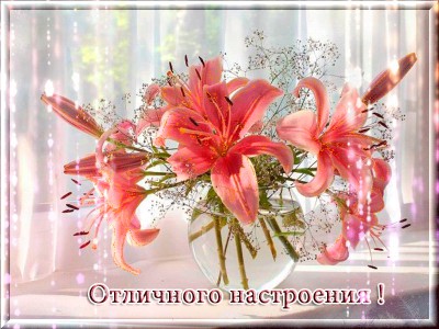 Отличного настроения !