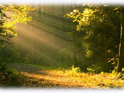 Календарь - Вот и осень