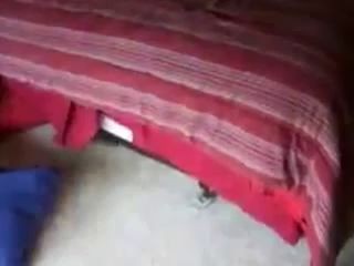 Dog reacts to the words "Bath" & "Walk"