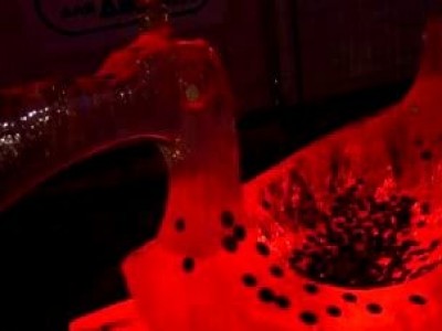 Ледовая сказка в Петропавловской крепости (2014)