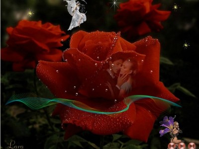 Волшебный мир