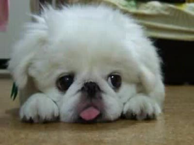 Унылое гавно