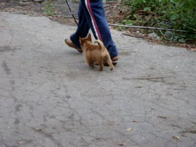 мы занимаемся