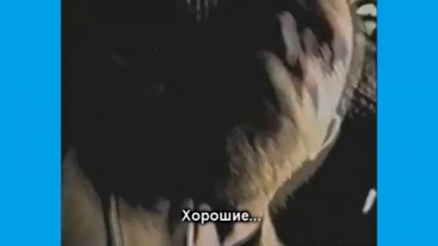 Зеленый Ералаш