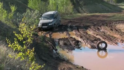 Патриоты в болотце.