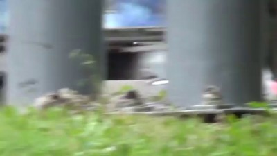 Виртуоз остановок