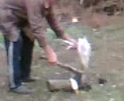 топором по утке