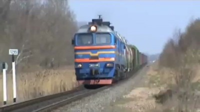 Собака - экстремака