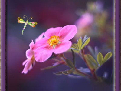 Доброй ночи!