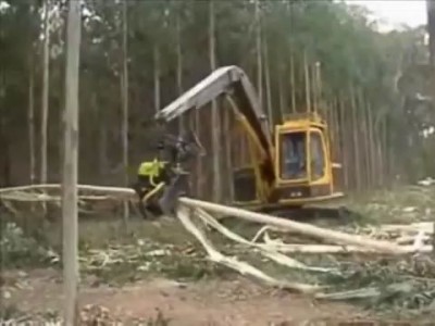 лесоповал по японски