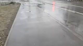 Светофор на Выборгском