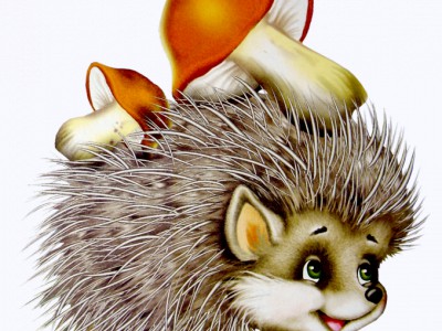 Na grzyby-идем за грибами