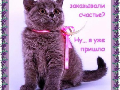 Это Вы заказывали счастье?