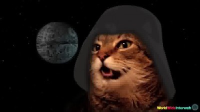 catstarwars