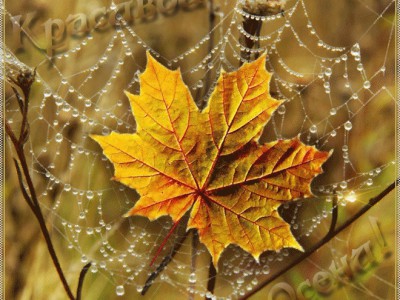 Juz jesien nadchodzi-Уже осень приходит