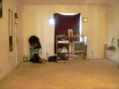 beyonce))) это такой ржач!