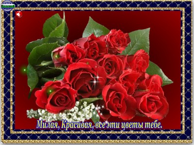 Ян Войков. Прекрасная Елена